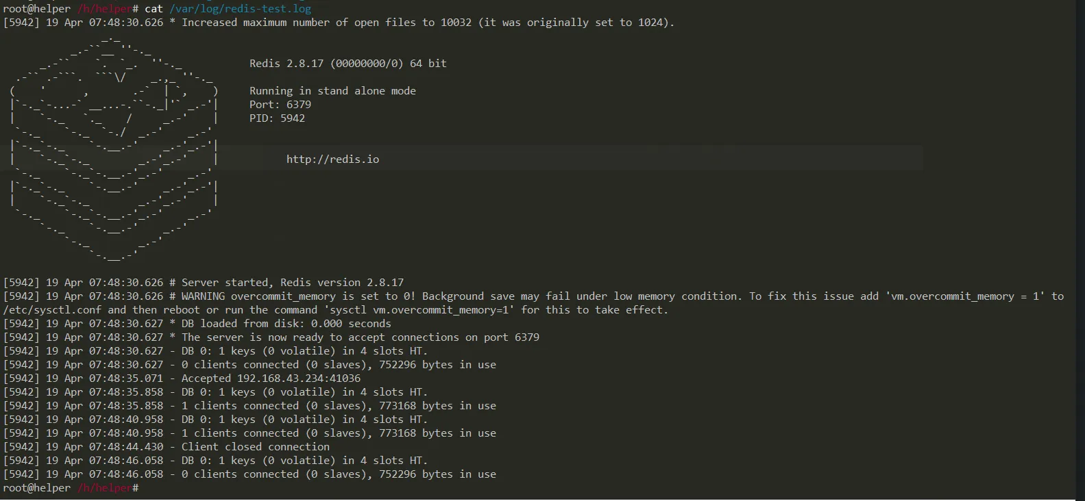 image-20210419154913032