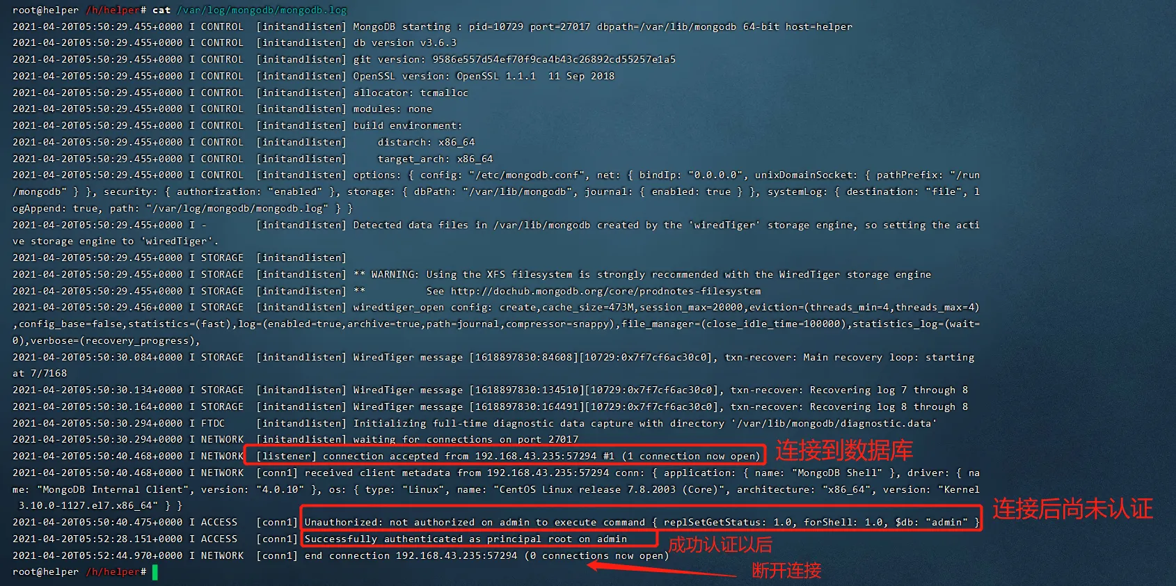 image-20210420135500449