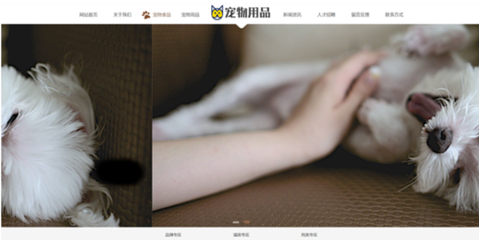 易优宠物用品网站源码 v1.6.0 企业展示版-HackTwoHub社区
