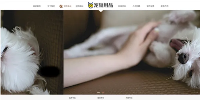 20260310135405398-image