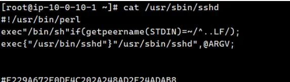 20260313083923430-image